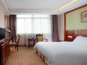 vienna hotel dongguan songshan lake