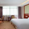vienna hotel dongguan songshan lake
