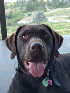 hotel kelowna and conference centre