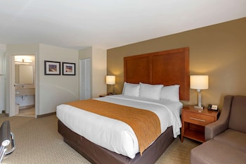 comfort inn kennesaw