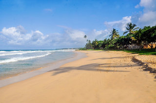 the beach cabanas