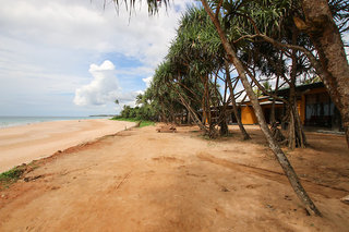 the beach cabanas