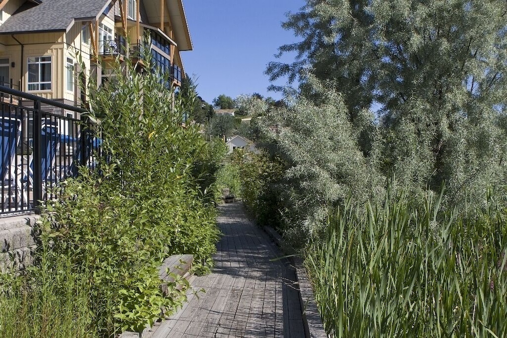 summerland waterfront resort and spa