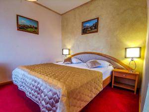 hotel belvedere predeal