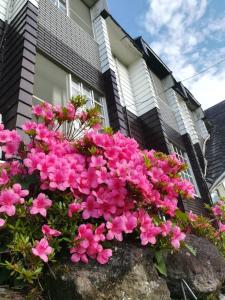 jas hotel takayama