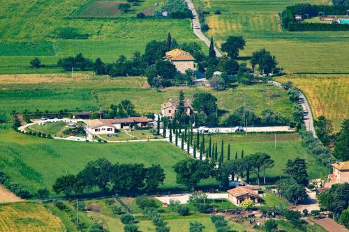 assisi