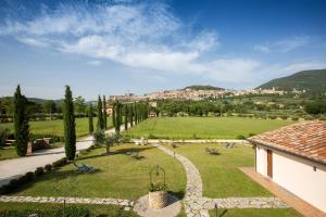 assisi