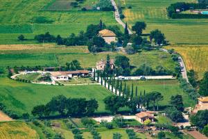 assisi