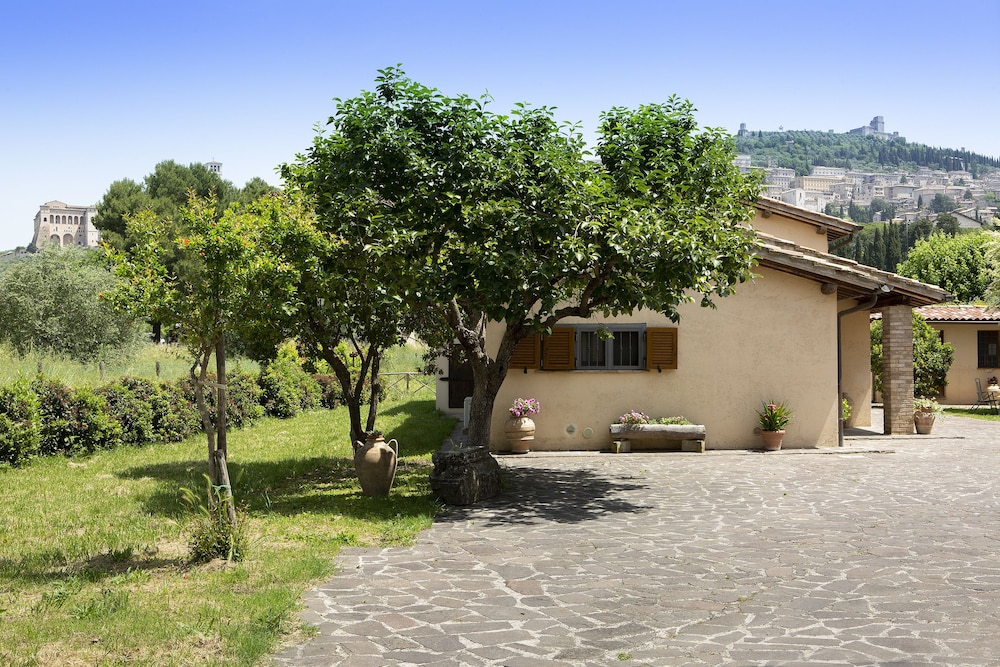 assisi