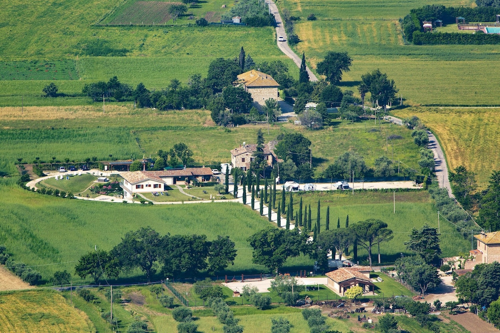 assisi