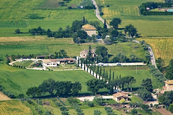 assisi