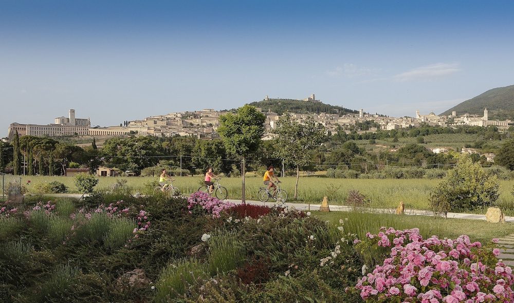 assisi