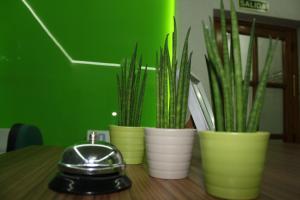 hostal estacion