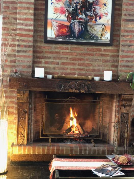 san martin de los andes