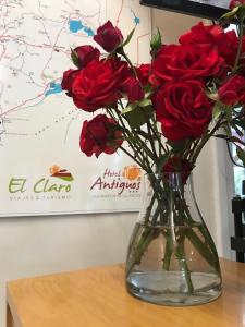 san martin de los andes