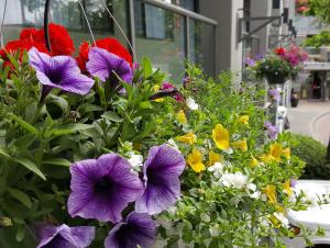 Accent Inns Kelowna,Kelowna>>British Columbia,3 star