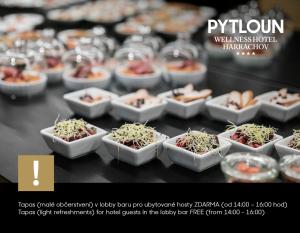 pytloun wellness hotel harrachov