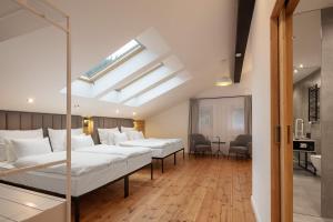 pytloun wellness hotel harrachov