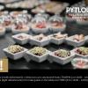 pytloun wellness hotel harrachov