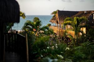 jijoca de jericoacoara