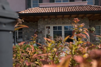 tami hotel resort spa