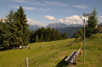 schwarzenberg