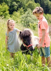 sankt johann im pongau