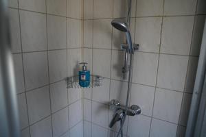 hotel zum grafen hallermunt