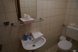 hotel zum grafen hallermunt