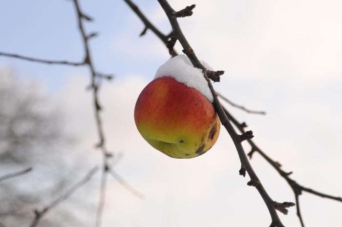 hotel mein inselgluck
