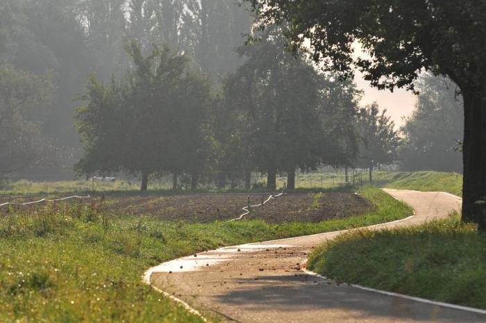 hotel mein inselgluck