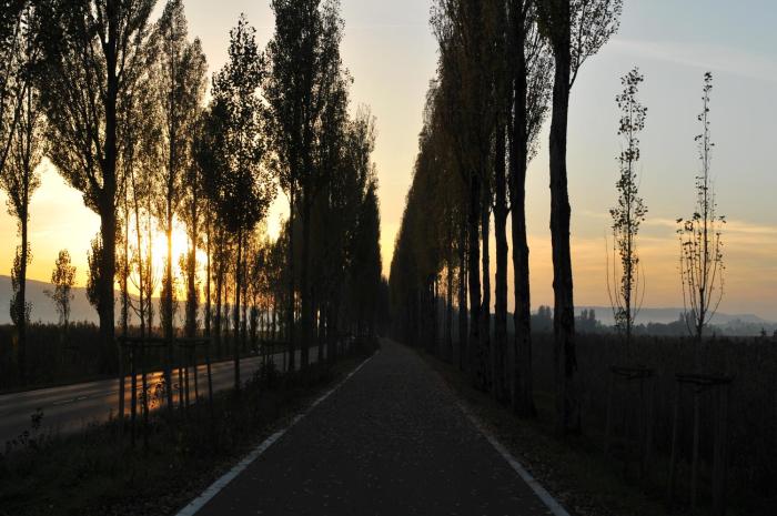 hotel mein inselgluck