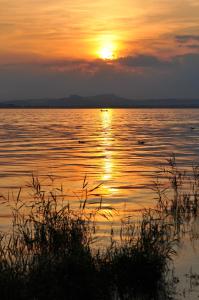 hotel mein inselgluck