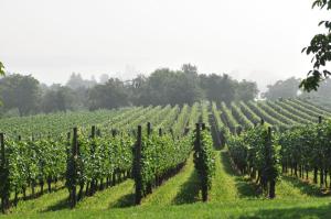 hotel mein inselgluck