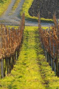 hotel mein inselgluck