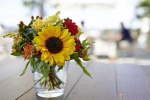 hotel mein inselgluck