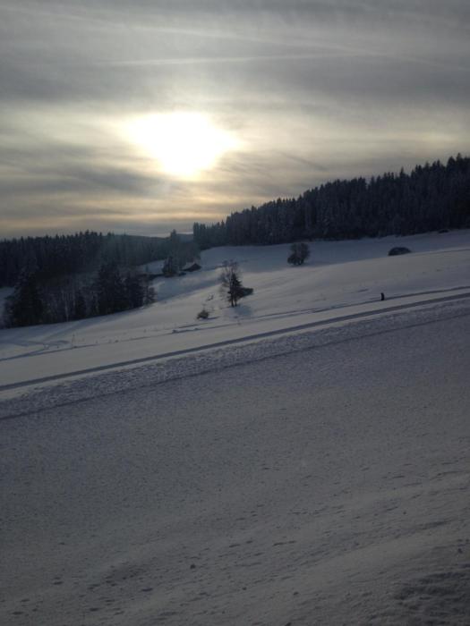 feldberg