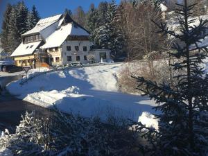 Landhotel Bierhaeusle,Feldberg>>Breisgau-Hochschwarzwald,1 star