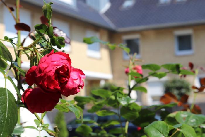 ostseeresidenz cammann