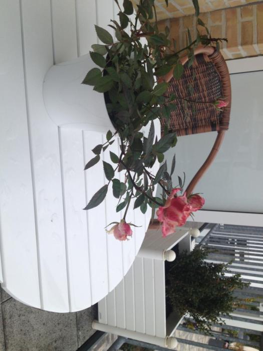 ostseeresidenz cammann