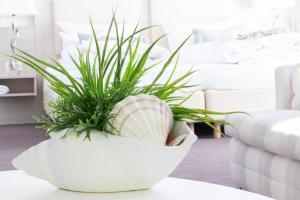 ostseeresidenz cammann