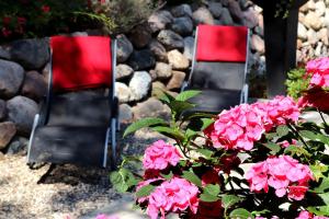 ostseeresidenz cammann