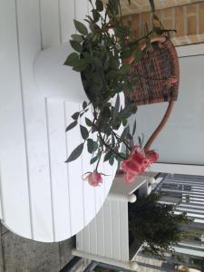 ostseeresidenz cammann