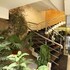 mayur hotel