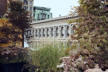 the broome