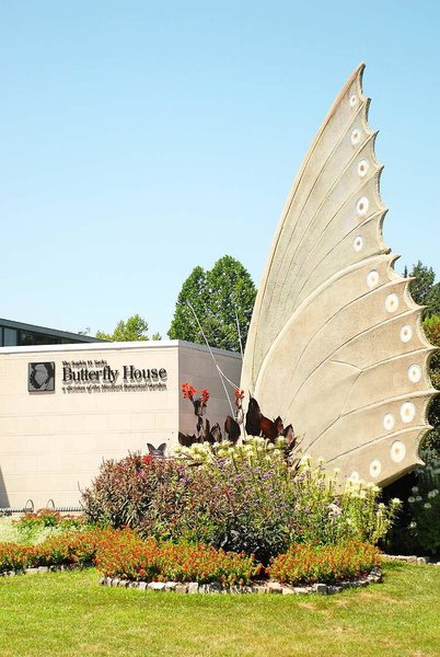 homewood suites by hilton st louis chesterfield