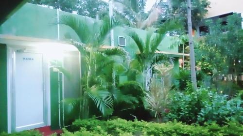 sunshine guest house