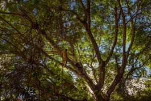 hotel caranda eco ville