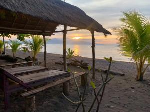 maumere