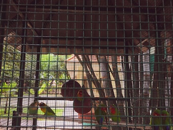 kanayannur